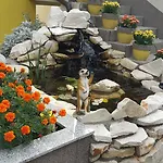 4m Apartman *