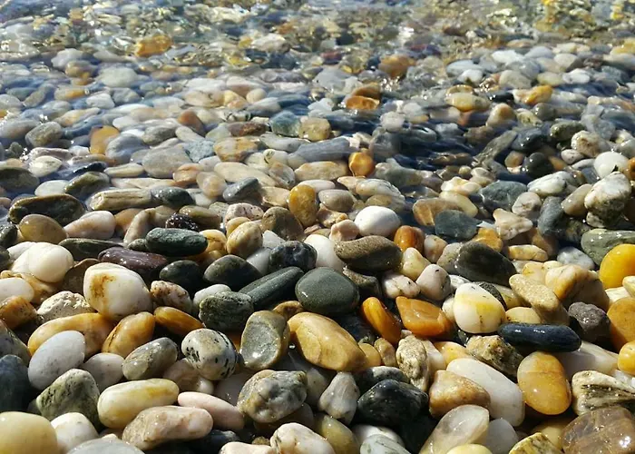 4m 公寓 科斯特雷纳